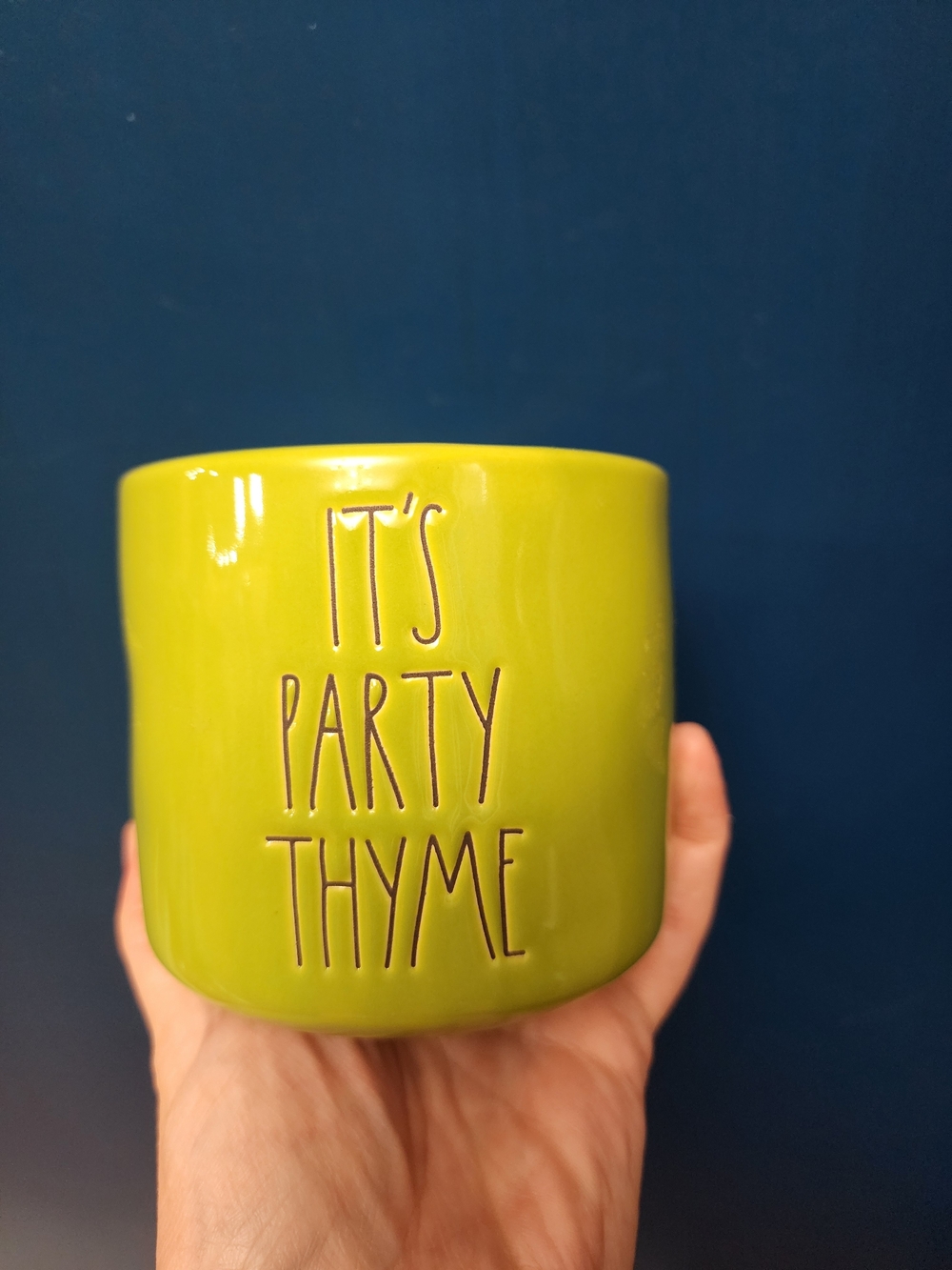 Rae Dunn “Party Thyme” Planter Small Green By Magenta